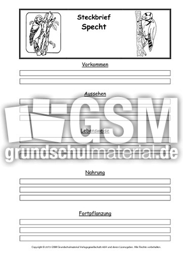 Steckbriefvorlage-Specht.pdf